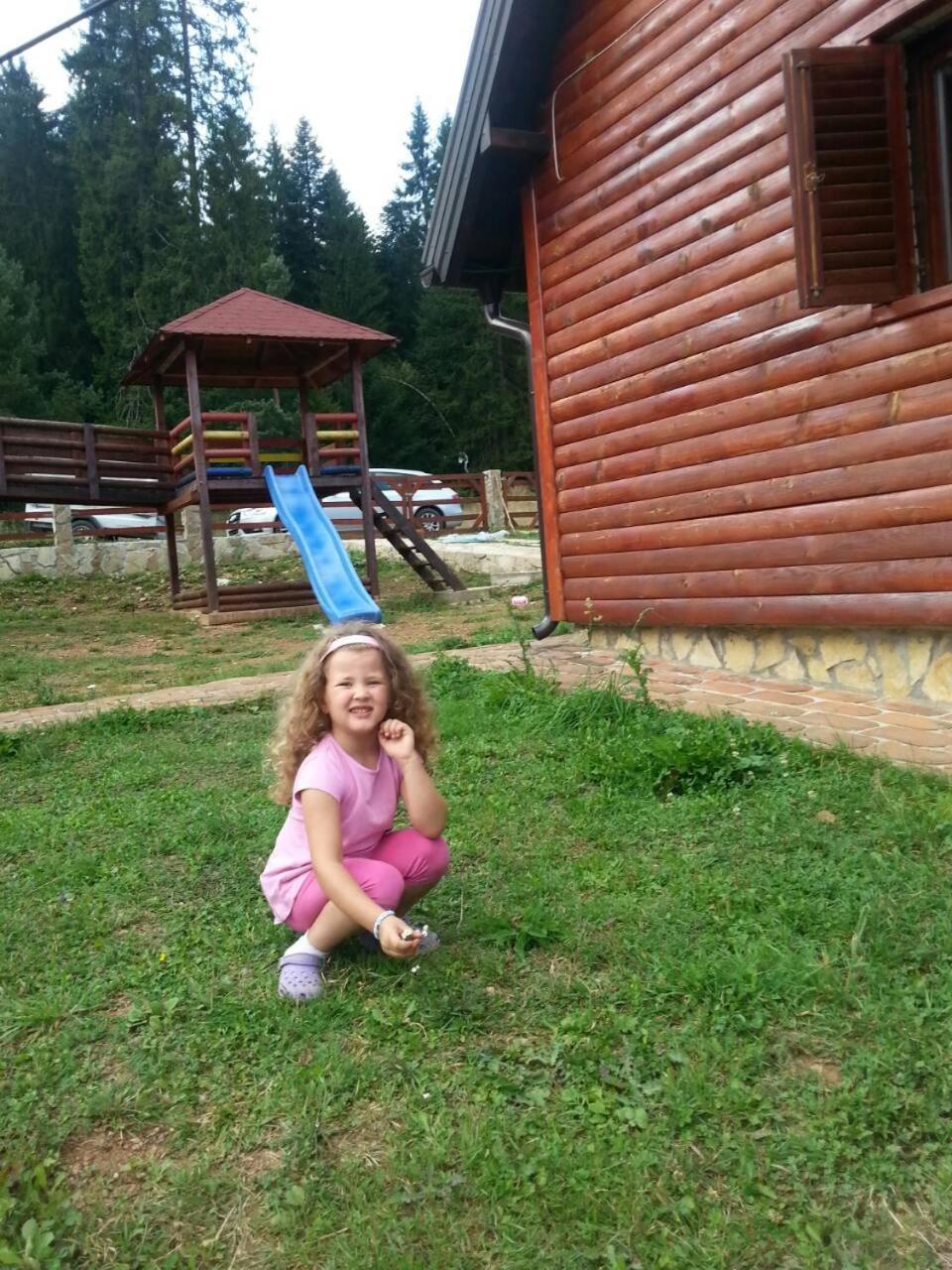 Vila Balerina Mitrovac Bagian luar foto