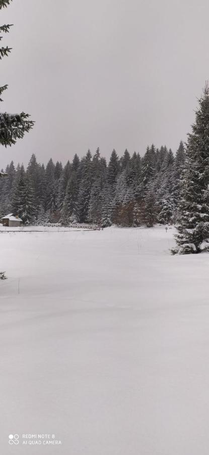Vila Balerina Mitrovac Bagian luar foto
